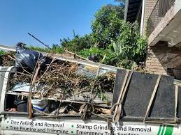 Retail Junk Removal in Morton, MS